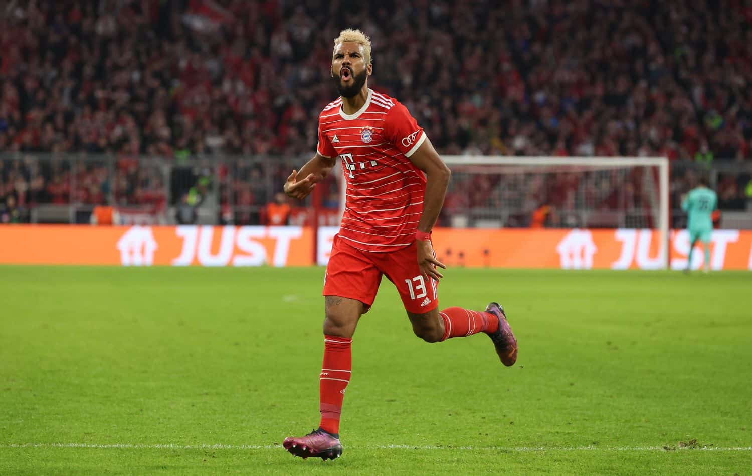 Eric Maxim Choupo-Moting 