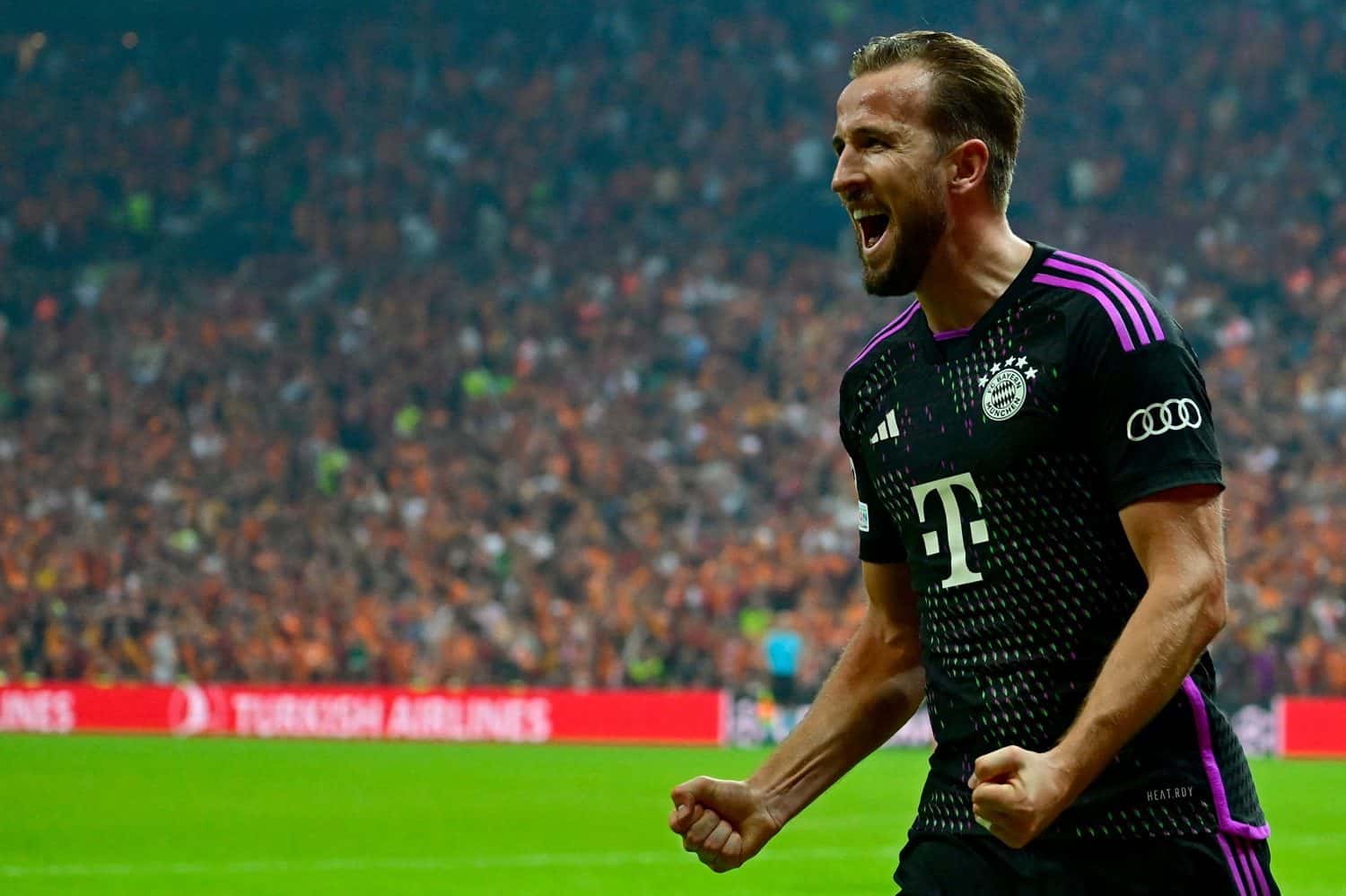 Harry Kane