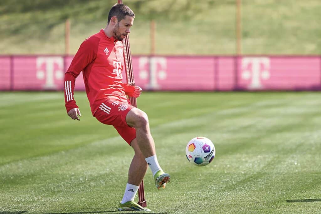 Raphael Guerreiro