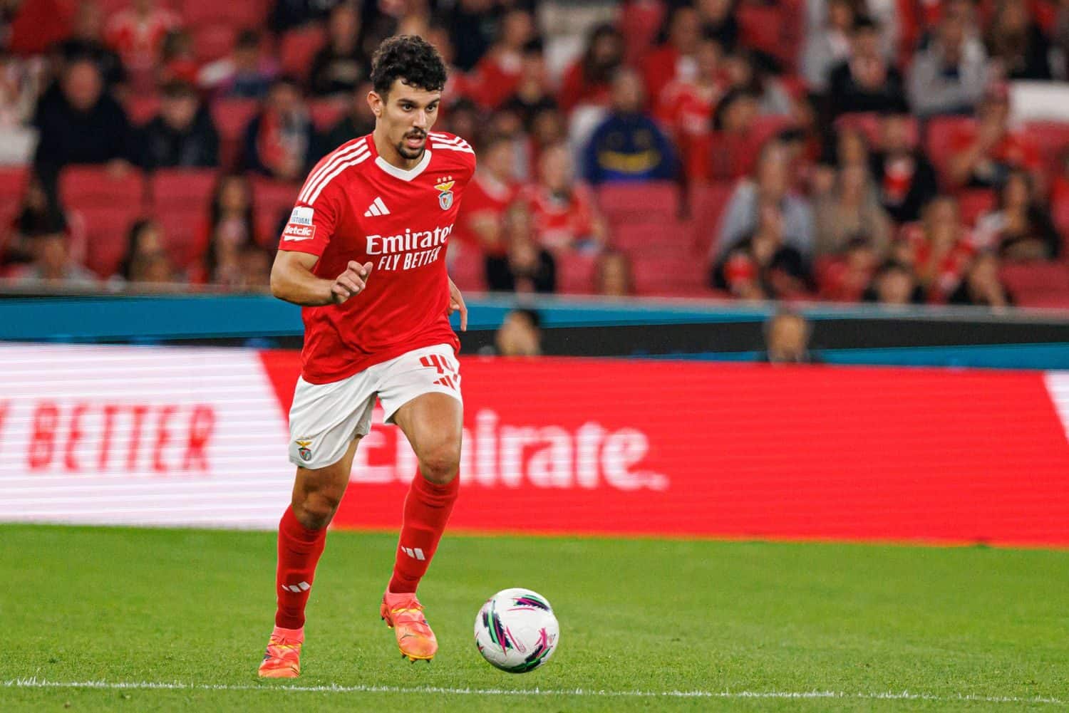 Tomas Araujo