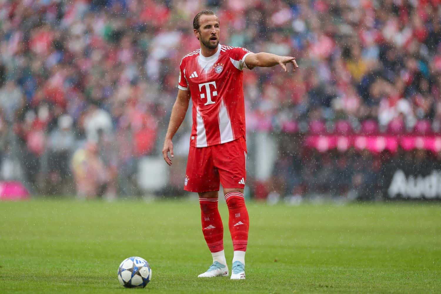 Harry Kane
