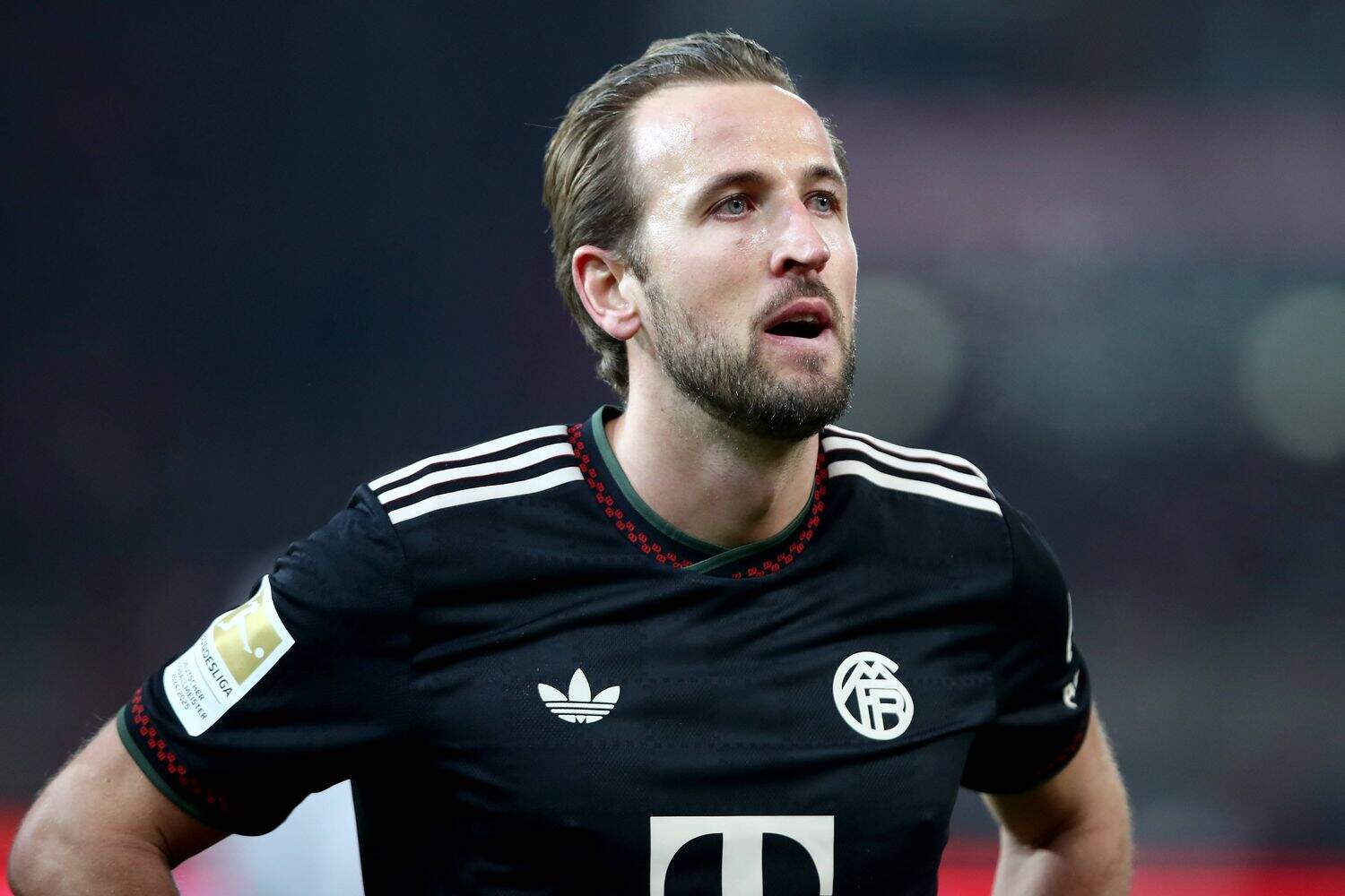 Harry Kane