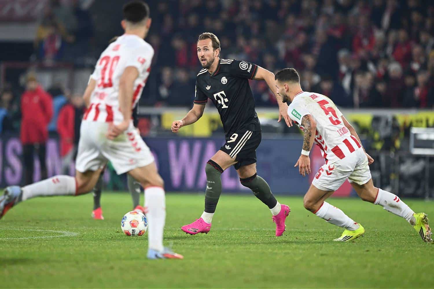 Harry Kane