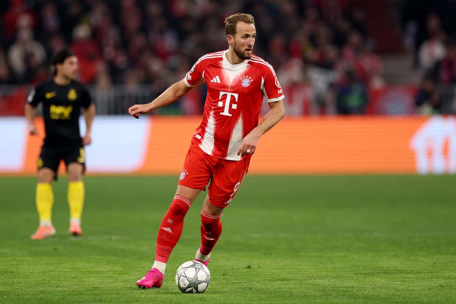 Harry Kane