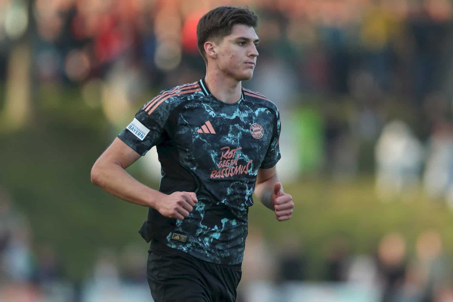 Ljubo Puljic
