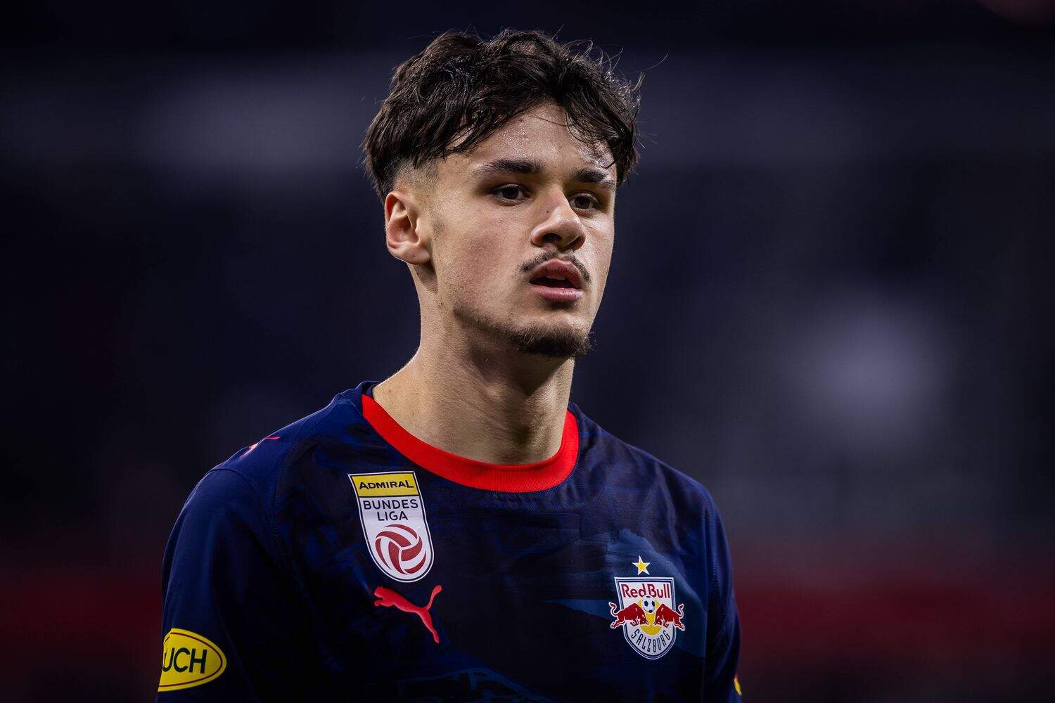 Kerim Alajbegovic